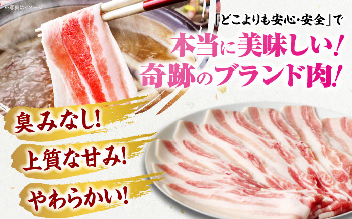 【全3回定期便】【冷凍】【4Xポーク】 豚肉 ポークスライスセット 620g （ロース150g、バラ170g、もも300ｇ）　豚肉 スライス 小分け 肉 ぶたにく 愛媛県大洲市/株式会社SL Creations [AGCY010] お正月 クリスマス