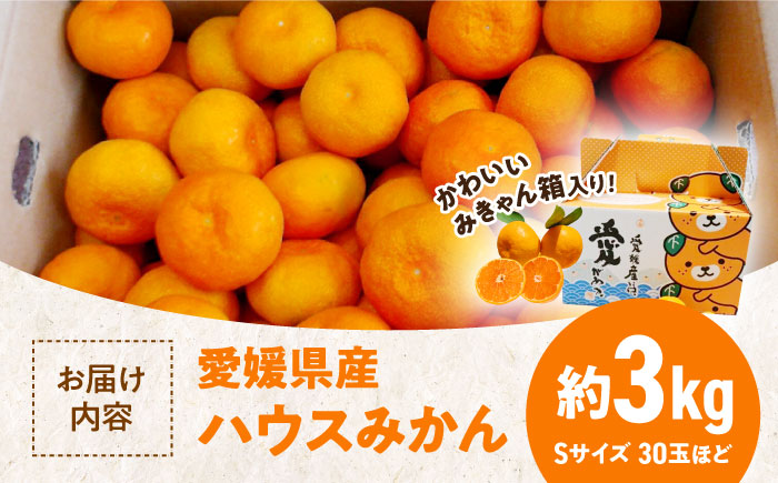 【発送期間中！】【夏限定】愛媛県産 峯田農園のあま〜い「ハウスみかん」3kg【みきゃん箱入】　愛媛県大洲市/峯田農園 [AGBT003]みかん オレンジ フルーツ ミカン 果物 かき氷 みかんジュース 愛媛みかん こたつ みきゃん スムージー デザート おやつ ヨーグルト 調味料 ドレッシング 隠し味 料理