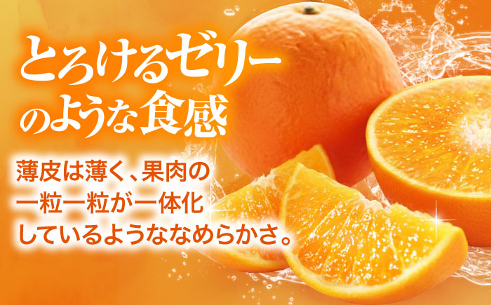 ãå
è¡äºçŽãã11æäžæ¬ããé æ¬¡çºéã çŽ
ãŸã©ã㪠ç§å 5ãã6åå
¥ïŒJAæåªããã管å
ç£ïŒçŽ
ãŸã©ã㪠ã¿ãã ãã«ã³ çŽ
ããã³ã ãã«ãŒã æç© ãã ãã® æåªç倧掲åž/æ ªåŒäŒç€Ÿããžã»ã¢ã°ãªããŒãºïŒ»AGBA003