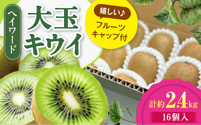 【先行予約】【11月上旬から順次発送】キウイフルーツ ヘイワード 大玉(3L〜4L玉) 約150g×16個 フルーツキャップ付き 愛媛県大洲市/西村農園 キウイ 果物 くだもの フルーツ 生産量日本一 [AGDC003]