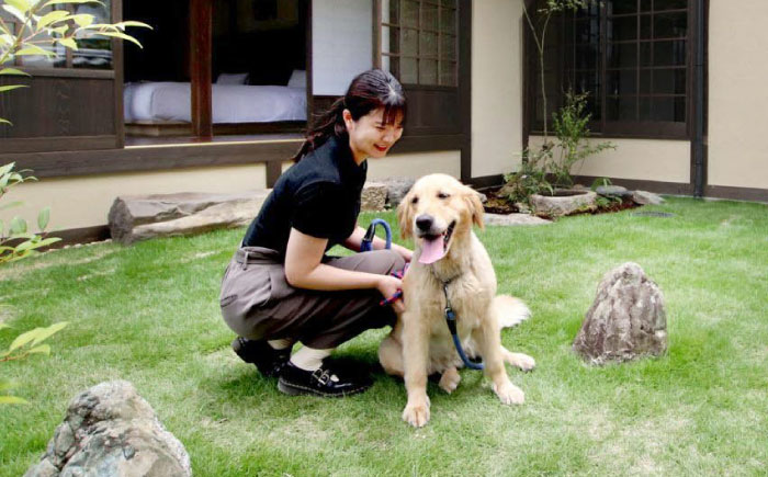 【ペットと泊まる】NIPPONIA HOTEL 大洲 城下町 1泊2日ペア宿泊券（2食付き）愛媛県大洲市 [AGDP019]宿泊券 旅行券 体験 クーポン 旅行 ホテル