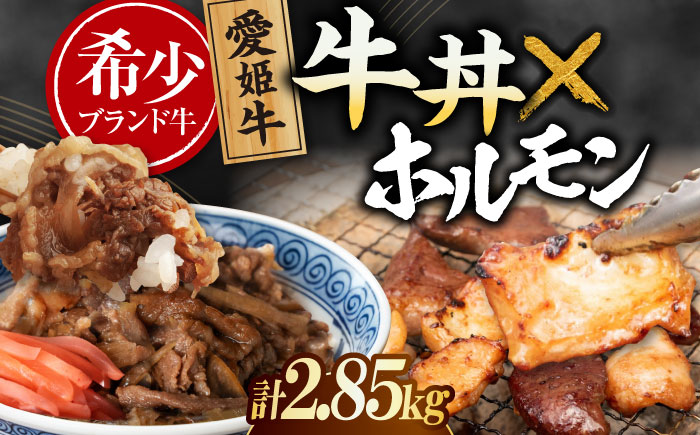 【冷凍】 愛姫牛 肉屋のこだわりお惣菜セット 牛丼×9食とミックスホルモン×1,500g 計2,85kg 愛媛県大洲市/有限会社 木村屋精肉店 [AGCC074]牛肉 和牛 牛 国産 国産和牛 愛媛県産 大洲市産 人気 おすすめ ランキング 簡単 おいしい お肉 肉 国産肉 焼肉 送料無料 お取り寄せ グルメ ホルモン 冷凍 焼き肉 BBQ バーベキュー ホルモン焼きそば ホルモン炒め グルメ 牛丼 冷凍 簡単調理 牛皿 牛めし