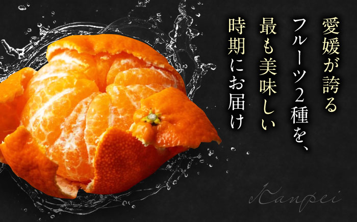 【先行予約】【2026年2月上旬から順次発送】【期間・数量限定】愛媛限定栽培！ 甘平（かんぺい）2L〜4L玉サイズ 約3kg箱入（8玉〜12玉）甘平 みかん 愛媛みかん 柑橘 愛媛県大洲市/愛媛たいき農業協同組合[AGAO010]