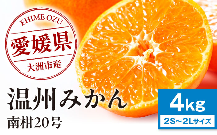 [先行予約][2026年1月上旬から順次発送][まごころ手選り手詰め]温州みかん 南柑20号 約4kg 愛媛県大洲市/カームシトラス みかん ミカン 蜜柑 果物 くだもの フルーツ