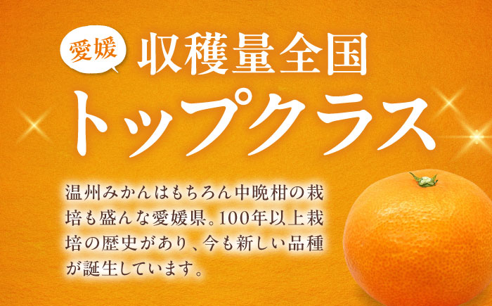 【先行予約】【2026年2月下旬から順次発送】【みきゃんラベル】柑橘のおいしさをギュッとお届け！柑橘王国 愛媛産 温州みかん ジュース 1L ×６本セット　愛媛県大洲市/有限会社カーム/カームシトラス [AGBW006]みかんジュース オレンジジュース みかん オレンジ フルーツ ミカン 果物 愛媛みかん みきゃん スムージー デザート おやつ ヨーグルト 調味料 ドレッシング 隠し味 料理