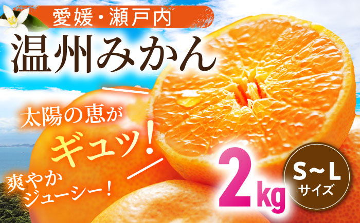 【11月中旬より順次発送】瀬戸内のめぐみたっぷり！温州みかん（S~Lサイズ）2kg　愛媛県大洲市/沢井青果有限会社 [AGBN046]  温州みかん みかん 果物 ミカン フルーツ お正月 クリスマス