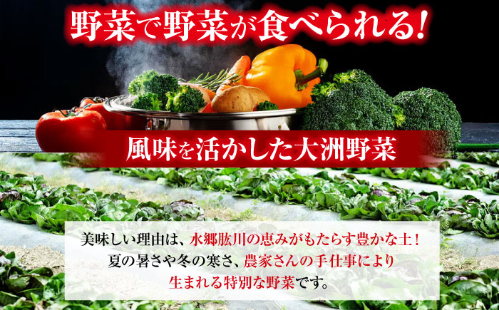 【全3回定期便】【2ヶ月に1回】栽培期間中農薬不使用！大満足 旬のお野菜セット 愛媛県大洲市/有限会社ヒロファミリーフーズ [AGBX042]