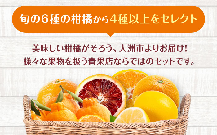 【先行予約】【3月頃発送】柑橘おまかせセット 愛媛県大洲市/沢井青果有限会社 [AGBN053]