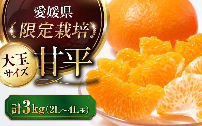 【先行予約】【2026年2月上旬から順次発送】【期間・数量限定】愛媛限定栽培！ 甘平（かんぺい）2L〜4L玉サイズ 約3kg箱入（8玉〜12玉）甘平 みかん 愛媛みかん 柑橘 愛媛県大洲市/愛媛たいき農業協同組合[AGAO010]