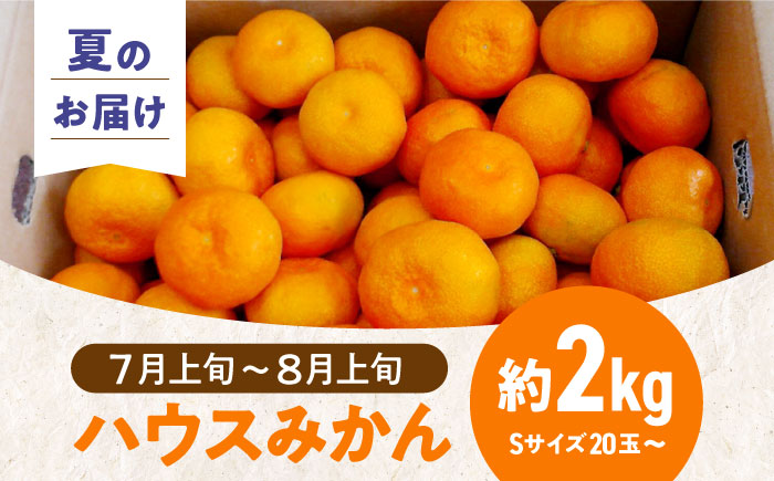 愛媛県産 プレミアム柑橘5kgセット（ハウスみかん2kg、まどんな3kg）　愛媛県大洲市/峯田農園 [AGBT012]みかん オレンジ フルーツ ミカン 果物 かき氷 みかんジュース 愛媛みかん こたつ みきゃん スムージー デザート おやつ ヨーグルト 調味料 ドレッシング 隠し味 料理