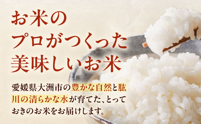 【スピード発送】令和7年産 お米 ヒノヒカリ 10kg（10kg×1袋）米・食味鑑定士×お米ソムリエ×白米ソムリエ お米 おこめ 白米 ごはん 愛媛県産お米 大洲市/稲工房案山子 [AGAV011]