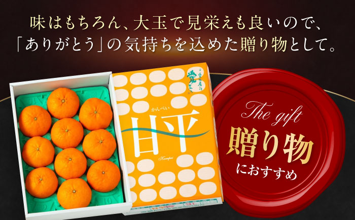 【先行予約】【2026年2月上旬から順次発送】【期間・数量限定】愛媛限定栽培！ 甘平（かんぺい）2L〜4L玉サイズ 約3kg箱入（8玉〜12玉）甘平 みかん 愛媛みかん 柑橘 愛媛県大洲市/愛媛たいき農業協同組合[AGAO010]