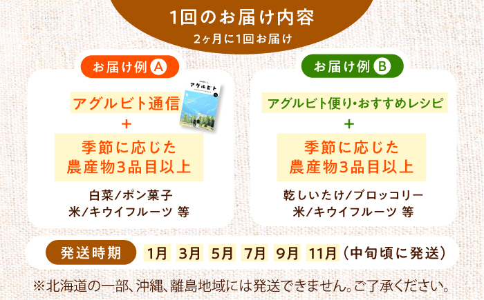 【全6回定期便】生産者の顔が見えるから安心して食べられる！毎回ちがう旬の農産物定期便　愛媛県大洲市/大洲市青年農業者協議会 [AGBL001]サラダ カレー 料理 収穫 ダイエット ヘルシー ブロッコリー きゅうり キャベツ 鍋 健康 とうもろこし 果物 和食 スープ