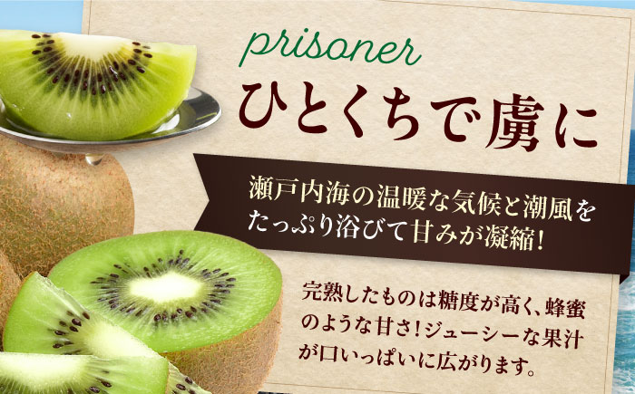 【先行予約】【1月上旬より順次発送】生産量日本一！家族で毎日食べられる！甘熟キウイ　3L〜4Lサイズ（20〜24玉入）　愛媛県大洲市/沢井青果有限会社果物 [AGBN001]キウイ フルーツ かき氷果物 スムージー おやつ ジュース ヨーグルト 手作りスイーツ お菓子作り デザート