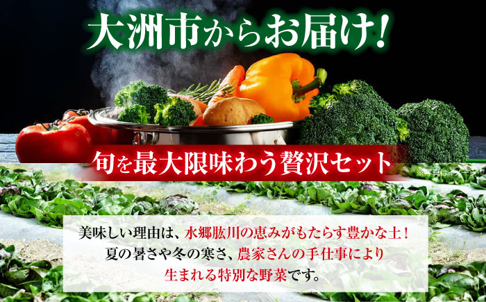 【全12回定期便】 【シェフの目線】　根菜×葉野菜 6から7種　単身・二人暮らし用セット　愛媛県大洲市/有限会社ヒロファミリーフーズ 野菜 果物 やさい 少量セット 食べきり [AGBX054]