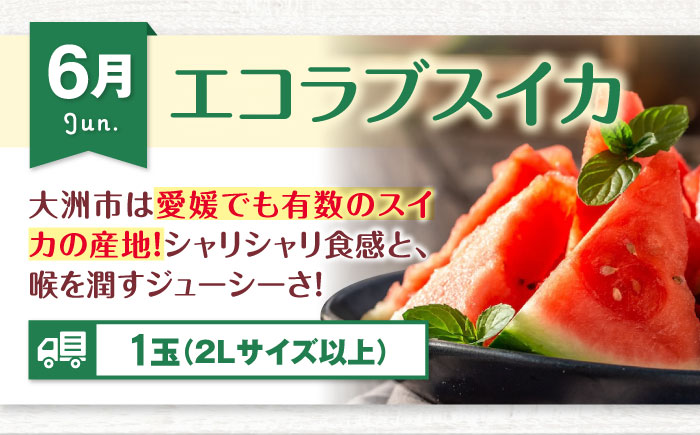 【全6回定期便】【先行予約】フルーツ定期便 2026年1～8月発送 愛媛県大洲市/沢井青果有限会社 [AGBN052]