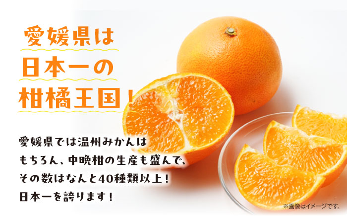 愛媛県産 大人気の手作り「温州みかん」100%ストレートジュース（720ml×2本）　愛媛県大洲市/峯田農園 [AGBT023]