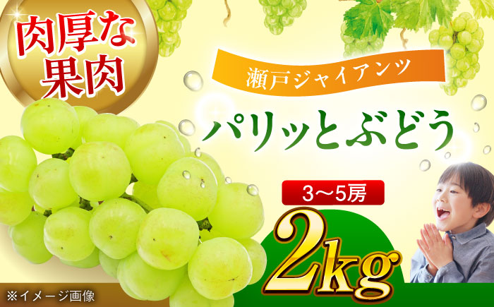 【先行予約】【9月初旬より順次発送】パリッとした食感。ジュワッと溢れる幸せ。瀬戸ジャイアンツ2kg（3〜5房）　愛媛県大洲市/沢井青果有限会社 [AGBN005]シャインマスカット ぶどう 葡萄 フルーツ 果物 スイーツ 甘い デザート 料理 ヨーグルト スムージー