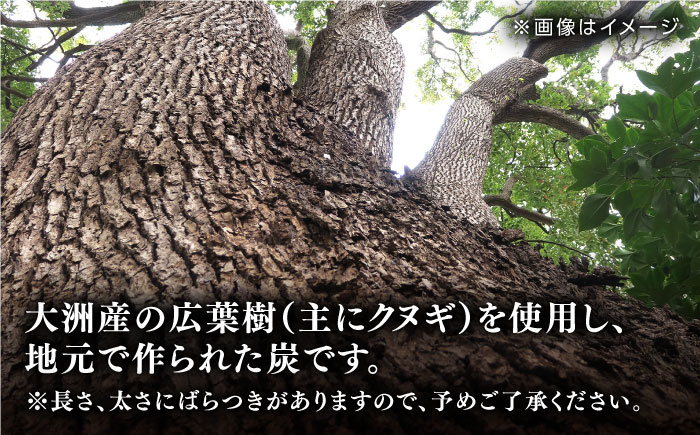 【数量限定】バーベキューに最適な大洲産「木炭」約7kg　愛媛県大洲市/大洲市森林組合 [AGBK003]木炭 デッサン 絵 炭火 七輪 窯 炭焼き バーベキュー キャンプ 料理 焼き鳥 焼き肉 ステーキ 焼肉 焚き火