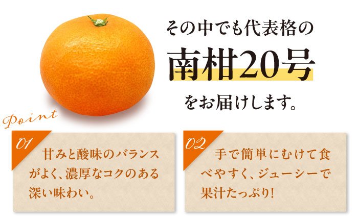 ãå
è¡äºçŽãã2026幎1æäžæ¬ããé æ¬¡çºéãããŸãããæéžãæè©°ããæž©å·ã¿ãã åæ20å· çŽ4kg æåªç倧掲åž/ã«ãŒã ã·ãã©ã¹ ã¿ãã ãã«ã³ èæ æç© ãã ãã® ãã«ãŒã