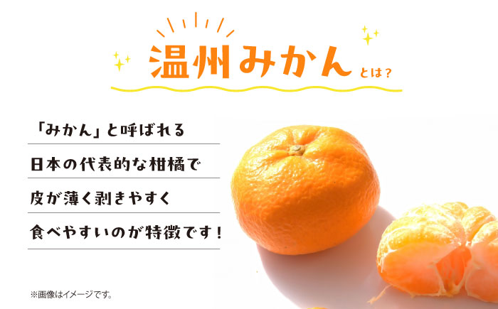 愛媛県産 大人気の手作り「温州みかん」100%ストレートジュース（720ml×2本）　愛媛県大洲市/峯田農園 [AGBT023]