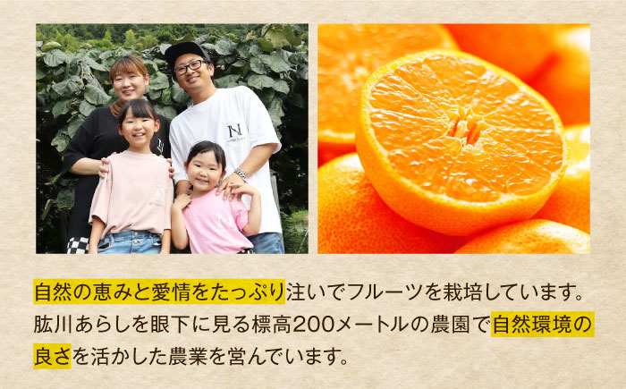 【先行予約】【2026年2月中旬から順次発送】甘平 約2.5kg 10個前後【ご家庭用】  愛媛県大洲市/西村農園 みかん ミカン えひめ かんぺい 柑橘 [AGDC004]