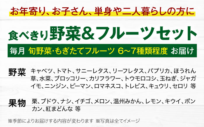 【全3回定期便】　【シェフの目線】 野菜×フルーツセット 6から7種　単身・二人暮らし用セット　愛媛県大洲市/有限会社ヒロファミリーフーズ 野菜 果物 やさい 少量セット 食べきり [AGBX048]