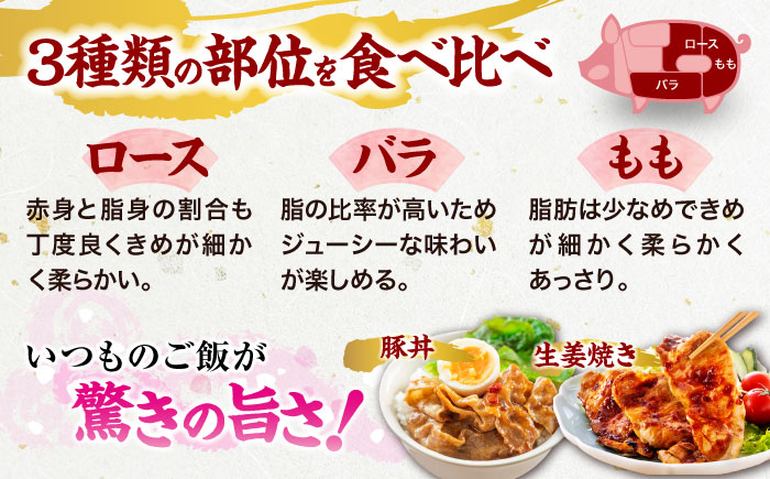 【全6回定期便】【冷凍】【4Xポーク】 豚肉 ポークスライスセット 620g （ロース150g、バラ170g、もも300ｇ）　豚肉 切り落とし 小分け 肉 ぶたにく 愛媛県大洲市/株式会社SL Creations [AGCY011]