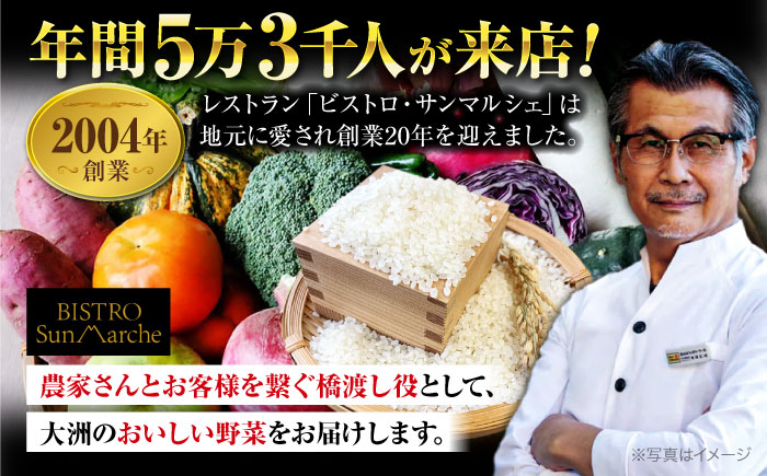 【全3回定期便】【2ヶ月に1回】 クリーン白米+旬のお野菜セット 愛媛県大洲市/有限会社ヒロファミリーフーズ [AGBX040]