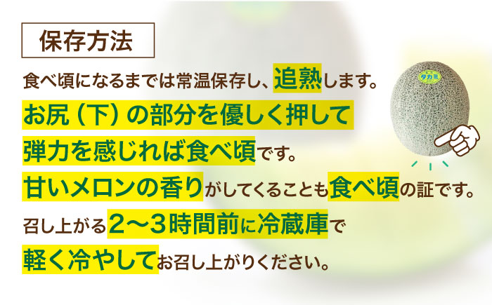 【先行予約】【6月中旬から順次発送】 訳あり 小玉メロン（タカミ） SSサイズ 5玉入り（1.3kg〜1.5kg/玉） 愛媛県大洲市/にのみや農園 めろん 貴味 果物 フルーツ くだもの 青肉 高級　 [AGDG001]