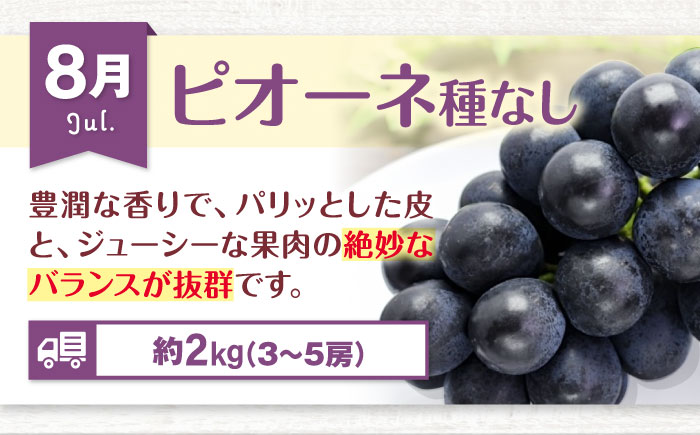 【全6回定期便】【先行予約】フルーツ定期便 2026年1～8月発送 愛媛県大洲市/沢井青果有限会社 [AGBN052]