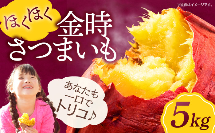 ほくほく大自然の恵み！ さつまいも（金時）5kg サツマイモ さつま芋 野菜 やさい 焼き芋 愛媛県大洲市/愛たい菜 [AGAP012]