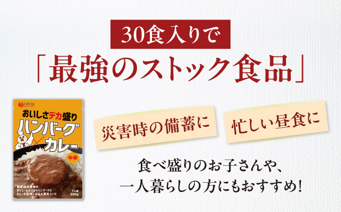 【大容量】ハンバーグカレーセット 30食入り 愛媛県大洲市/トリゼンフーズ株式会社 カレーレトルト カレー ハンバーグ 総菜 [AGDT035]