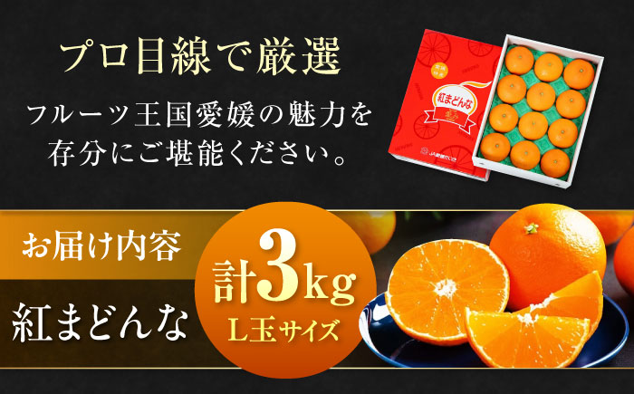 【先行予約】【11月下旬から順次発送】【期間・数量限定】愛媛限定栽培！ 紅まどんな Lサイズ 約3kg（15玉入）化粧箱入 果物 フルーツ みかん ミカン まどんな 愛媛県大洲市/愛媛たいき農業協同組合[AGAO006]