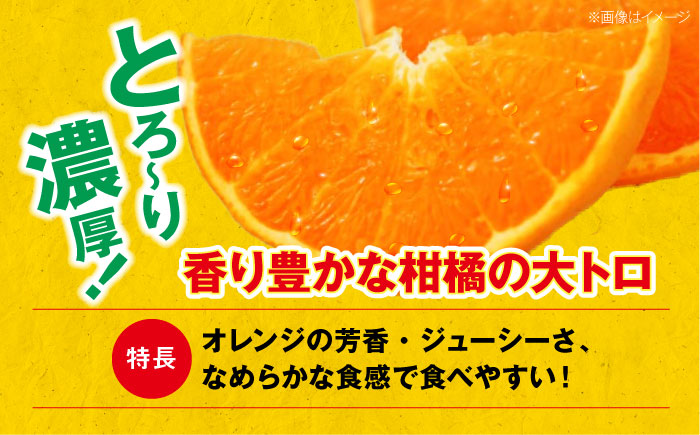 【先行予約】3月から順次発送】【ちょっと訳あり家庭用】せとか 約3kg/愛媛県大洲市 有限会社カーム/カームシトラス せとか 訳あり 果物 訳あり みかん 家庭用 [AGBW015]