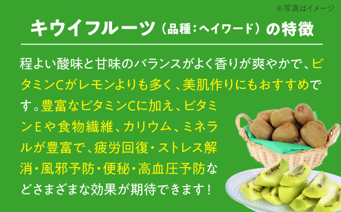 【先行予約】【2025年1月中旬から順次発送】生産量日本一！愛媛県産 キウイフルーツ（24個から27個入り）　愛媛県大洲市/幸野観光なし園 [AGBD004]キウイ フルーツ かき氷 果物 スムージー おやつ ジュース キウイフルーツ ヨーグルト 手作りスイーツ お菓子作り デザート