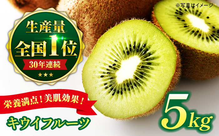 [先行予約][2025年3月上旬より順次発送]生産量日本一!家族で毎日食べられる!キウイフルーツ 約5kg 愛媛県大洲市/沢井青果有限会社果物 [AGBN002]キウイ フルーツ かき氷 果物 スムージー おやつ ジュース キウイフルーツ ヨーグルト 手作りスイーツ お菓子作り デザート