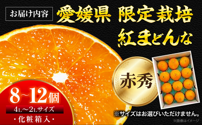  紅まどんな 赤秀 8個から12個入（JA愛媛たいき管内産）【先行予約】【11月下旬から順次発送】 紅まどんな みかん ミカン 紅マドンナ フルーツ 果物 くだもの 愛媛県大洲市/株式会社フジ・アグリフーズ [AGBA002]