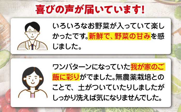 【全6回定期便】【シェフの目線】あったら嬉しい根菜セット×おまかせ旬野菜　愛媛県大洲市/有限会社ヒロファミリーフーズ [AGBX013]野菜 サラダ カレー トマト 料理 大根 鍋 にんじん 果物 芋 さといも じゃがいも さつまいも 健康 和食 洋食 中華 産地直送 国産 安心安全 JAS認定 有機無農薬 有機栽培 減農薬栽培 有機JAS オーガニック