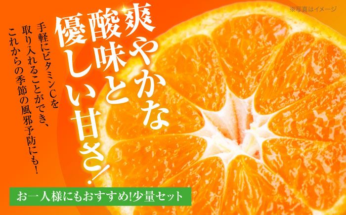 【先行予約】【10月上旬より順次配送】 酸味さわやか愛媛じるし! 温州みかん 2.5kg （2Sから2L混合サイズ） みかん 愛媛 みかん ジュース 果物 くだもの フルーツ 愛媛県大洲市/玉川農園 [AGBC004]