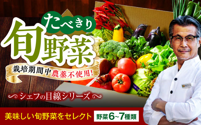 【シェフの目線】野菜 6から7種　単身・二人暮らし用セット　愛媛県大洲市/有限会社ヒロファミリーフーズ 野菜 やさい 少量セット 食べきり [AGBX043]