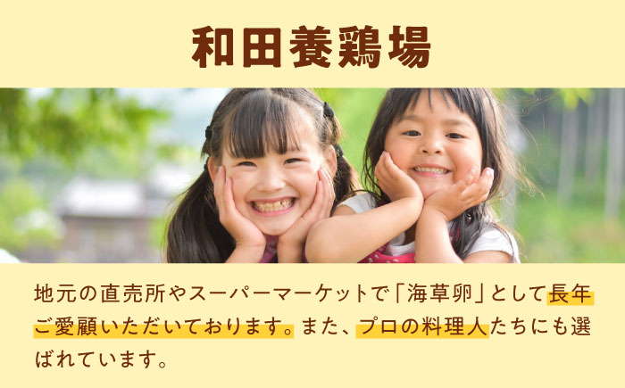 【全6回定期便】平飼い 海草たまご 10パック（100個入り）割れ保証あり 愛媛県大洲市/和田養鶏場 卵 たまご 鶏卵 卵料理 玉子 [AGDQ015]