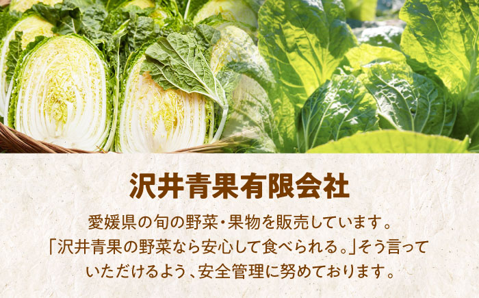 【先行予約】【11月中旬より順次発送】愛情つまった エコラブ白菜 約20kg（約10kg×2箱）　愛媛県大洲市/沢井青果有限会社 [AGBN040]白菜 ミルフィーユ鍋 野菜 スープ 夕飯 漬物 簡単レシピ キムチ 冬野菜 味噌汁  料理 ぎょうざ ラーメン はくさい 白菜漬け おかず