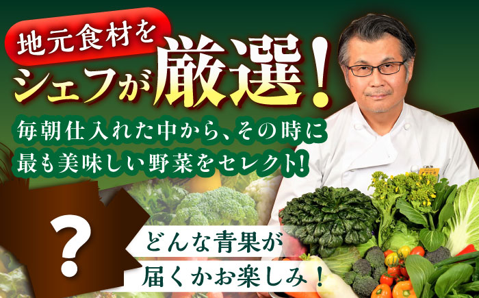 【全12回定期便】【シェフの目線】栽培期間中農薬不使用！旬のお野菜セット×もぎたてフルーツセット　愛媛県大洲市/有限会社ヒロファミリーフーズ [AGBX008]野菜 サラダトマト 料理 きゅうり 鍋 とうもろこし 果物 ミニトマト 新鮮 健康 和食 洋食 中華 産地直送 国産 安心安全 JAS認定 有機無農薬 有機栽培 減農薬栽培 有機JAS オーガニック