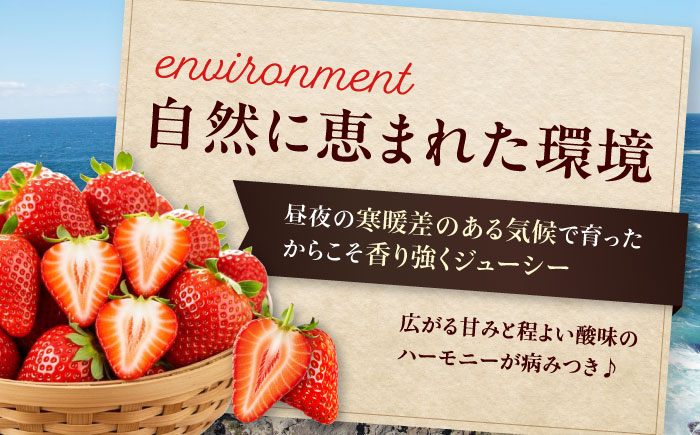 紅ほっぺ（M～3L）×4パック 約1kg　愛媛県大洲市/沢井青果有限会社 [AGBN054]