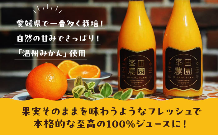 愛媛県産 大人気の手作り「温州みかん」100%ストレートジュース（720ml×2本）　愛媛県大洲市/峯田農園 [AGBT023]