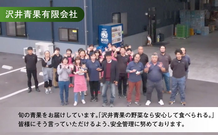 【11月以降順次発送】生産量日本一！家族で毎日食べられる！キウイフルーツ 約5kg　愛媛県大洲市/沢井青果有限会社果物 [AGBN002]キウイ フルーツ かき氷 果物 スムージー おやつ ジュース キウイフルーツ ヨーグルト 手作りスイーツ お菓子作り デザート