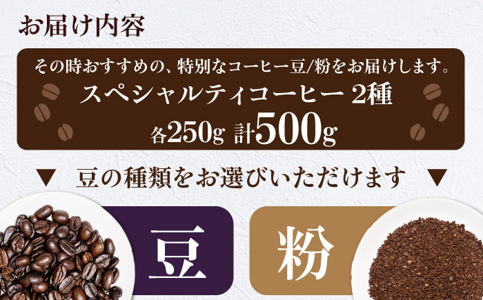 コーヒー豆  スペシャルティコーヒー おすすめ2種セット 各250g 珈琲 コーヒー豆 コーヒー粉 コーヒー ドリップ ドリップ珈琲 飲料 愛媛県大洲市/株式会社日珈 [AGCU027]