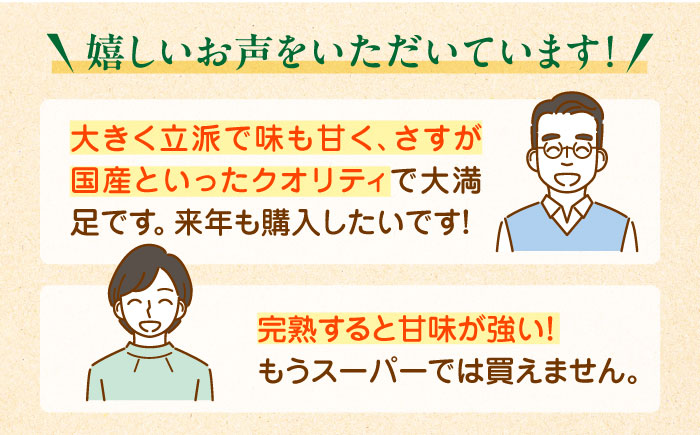 【先行予約】【2025年3月上旬より順次発送】生産量日本一！家族で毎日食べられる！キウイフルーツ 約5kg　愛媛県大洲市/沢井青果有限会社果物 [AGBN002]キウイ フルーツ かき氷 果物 スムージー おやつ ジュース キウイフルーツ ヨーグルト 手作りスイーツ お菓子作り デザート