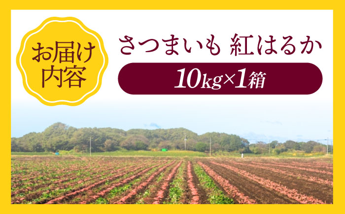 さつまいも（紅はるか）10kg 愛媛県大洲市/たいき産直市愛たい菜 [AGAP021]
